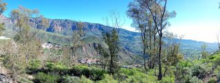 GC-Mirador Las Tirajanas (Tunte) 2026-09.jpg